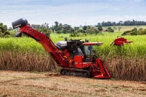 Case IH Austoft sugarcane harvesting