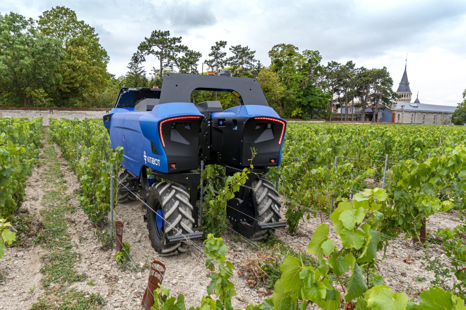 VitiBot vineyard robots