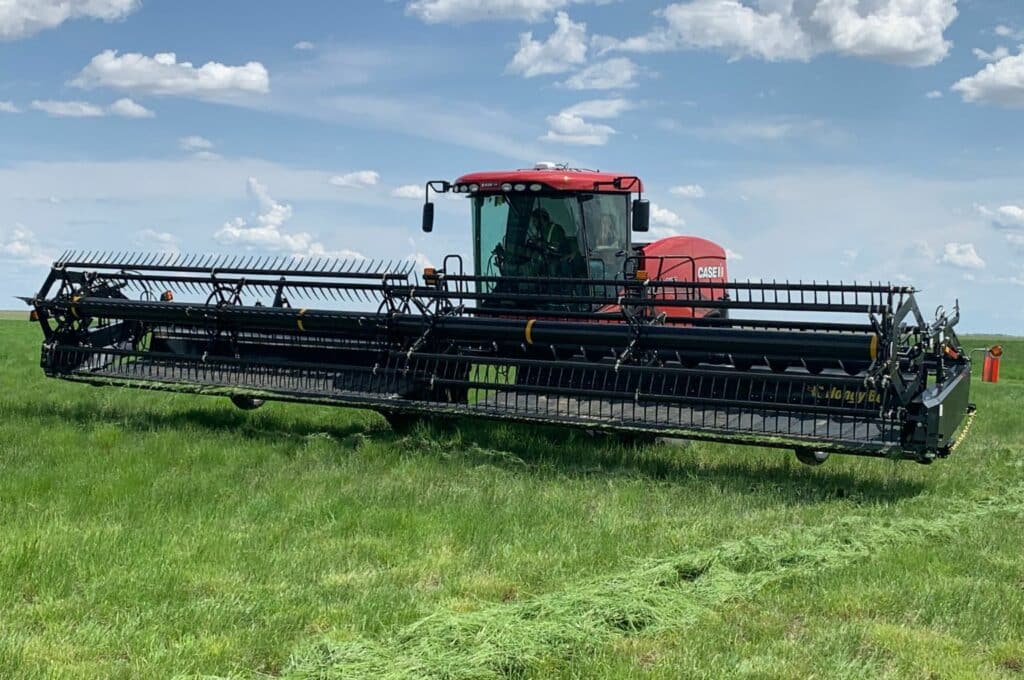 Honey Bee draper head on Case IH WD5 windrower