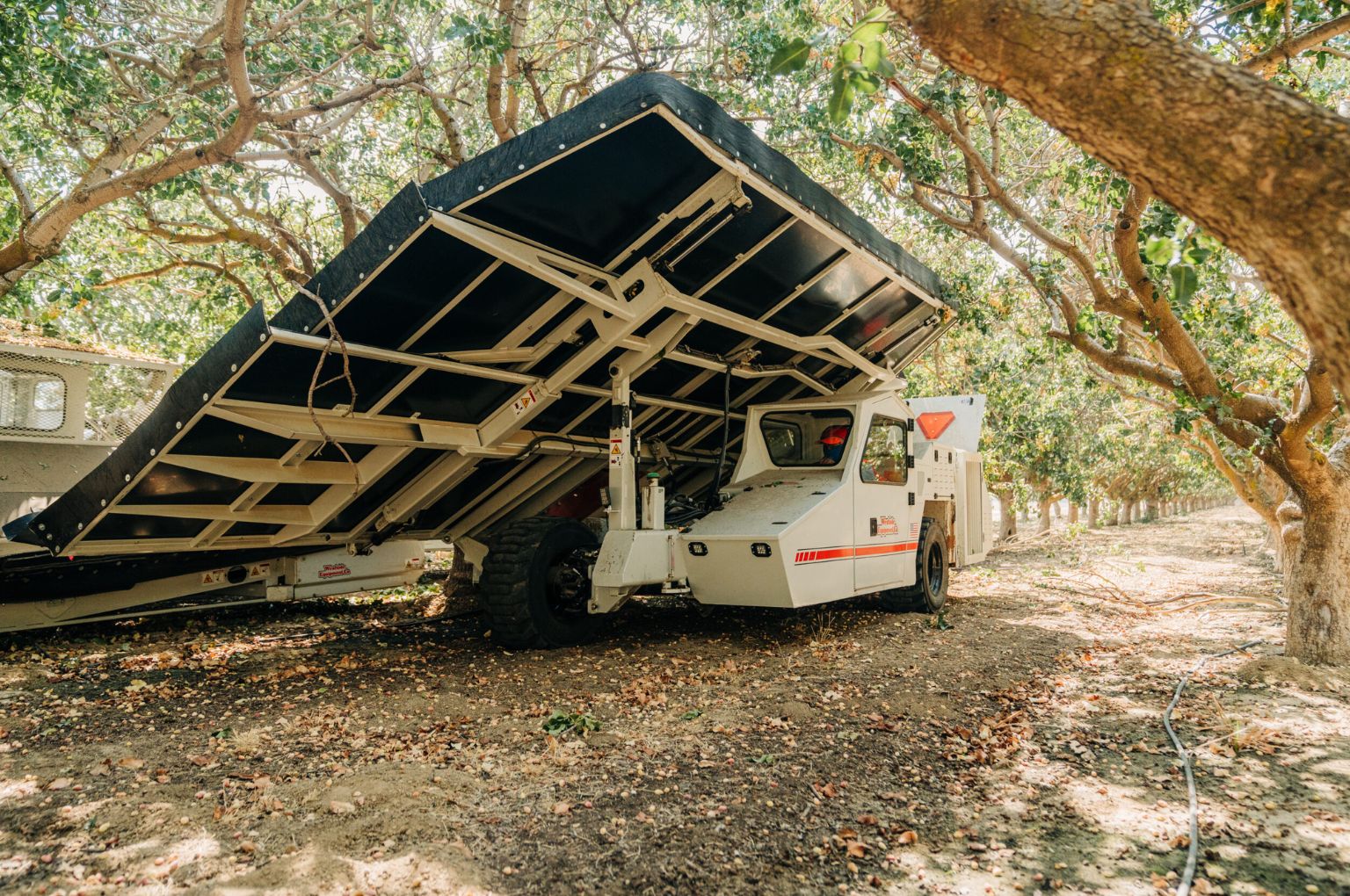 Oxbo pistachio harvesting