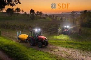 SDF Group