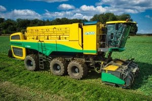 Oxbo GP6300