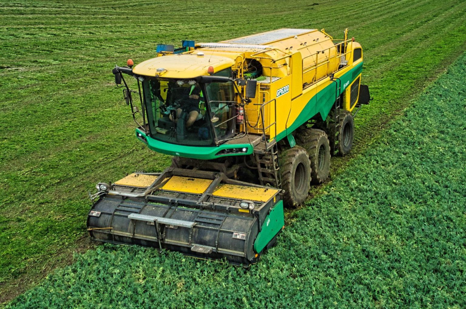 Oxbo GP6300 pea harvester