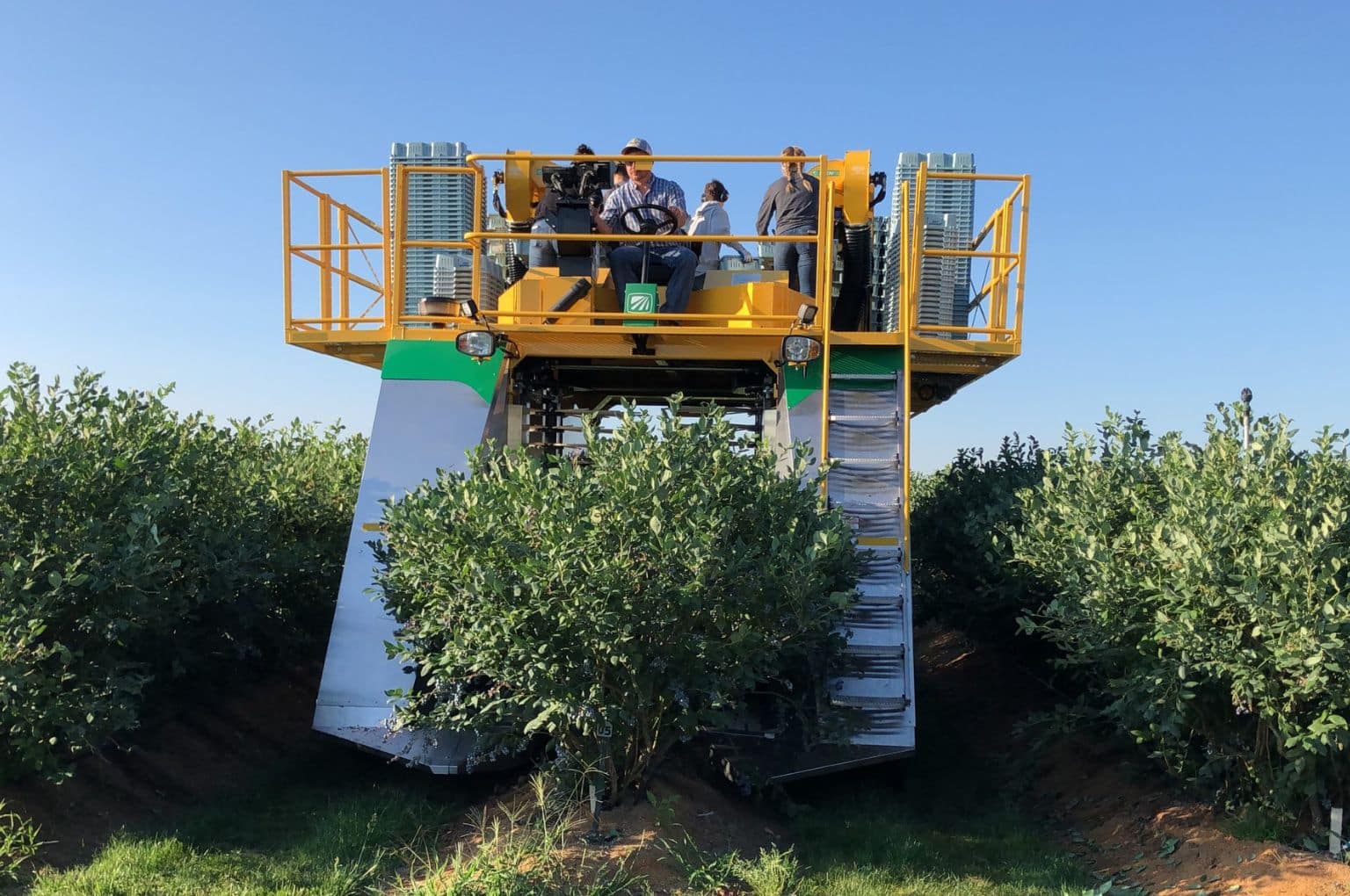 Oxbo berry harvester