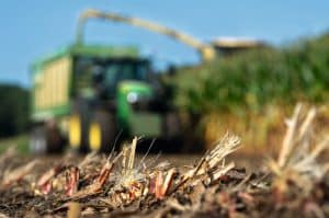 Krone XCollect RotoChop