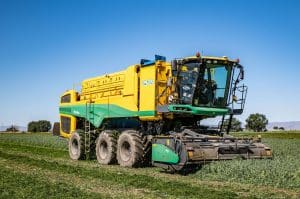 Oxbo GP6300