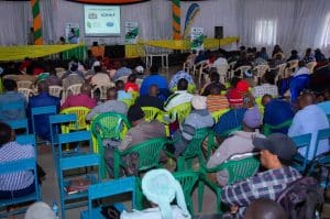 Vocational training in Africa
