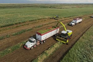 Claas Jaguar 1200 world record 2025 USA