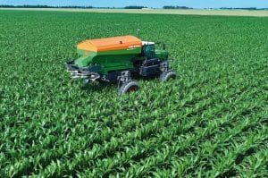 Amazone, El Dorado KS USA