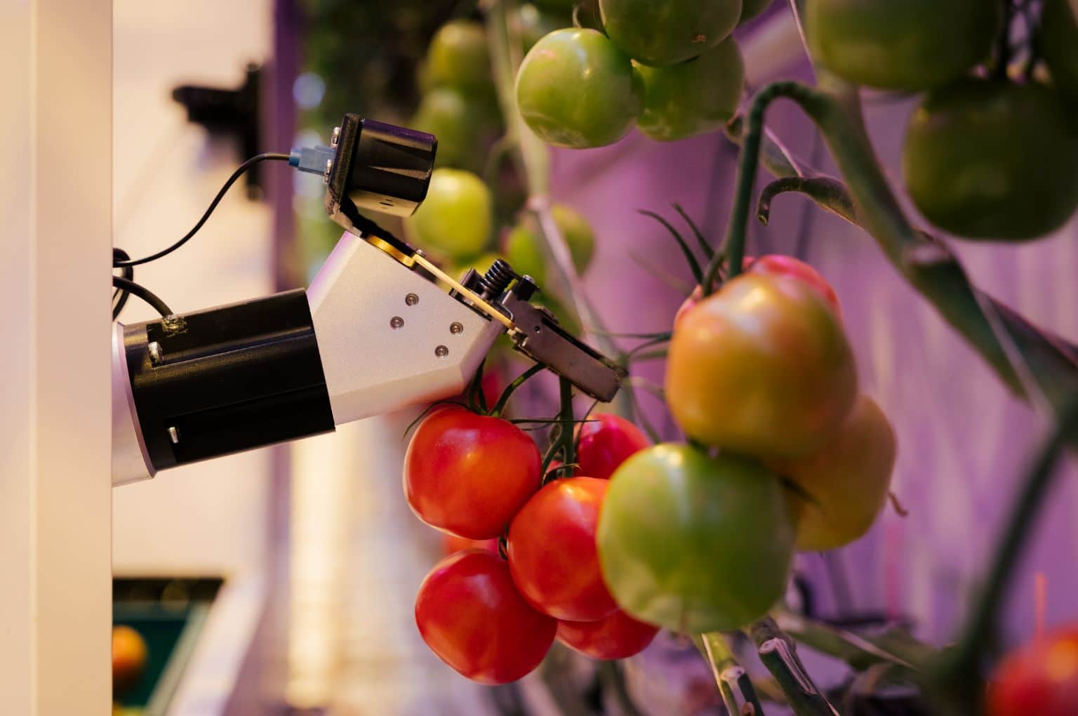 eternal.ag Harvester