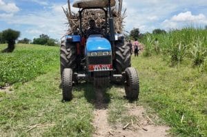 Bugiri community, Uganda