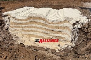 Alliance field day Sicily