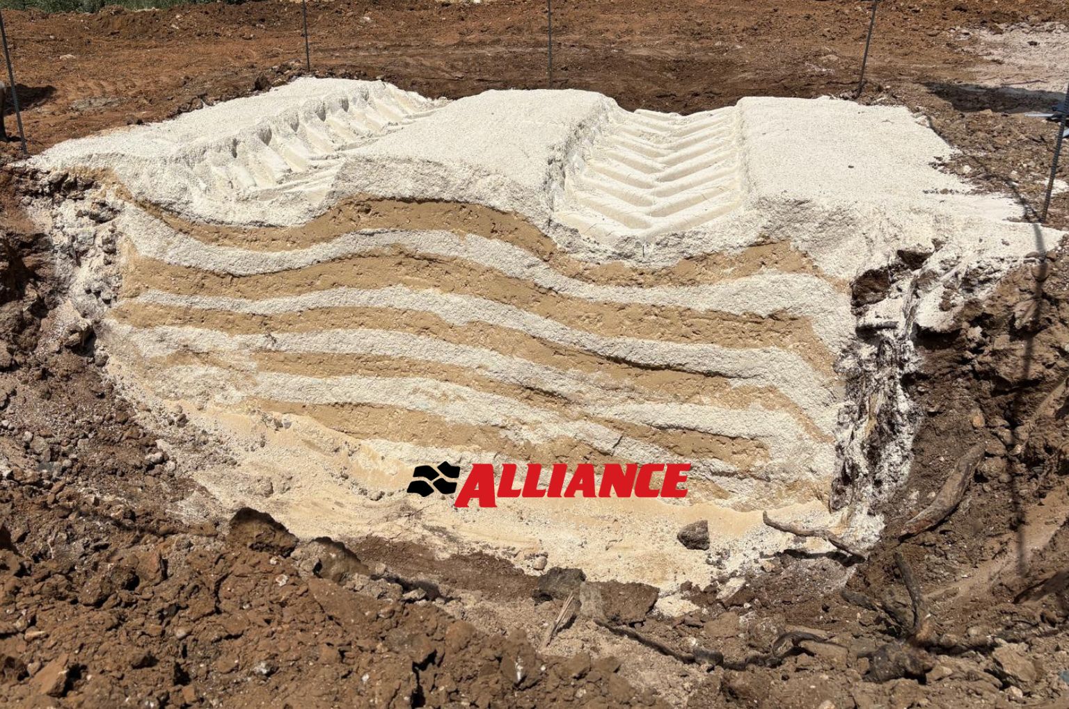 Alliance field day Sicily