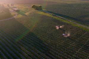 Autonomous weed-control with Prospr