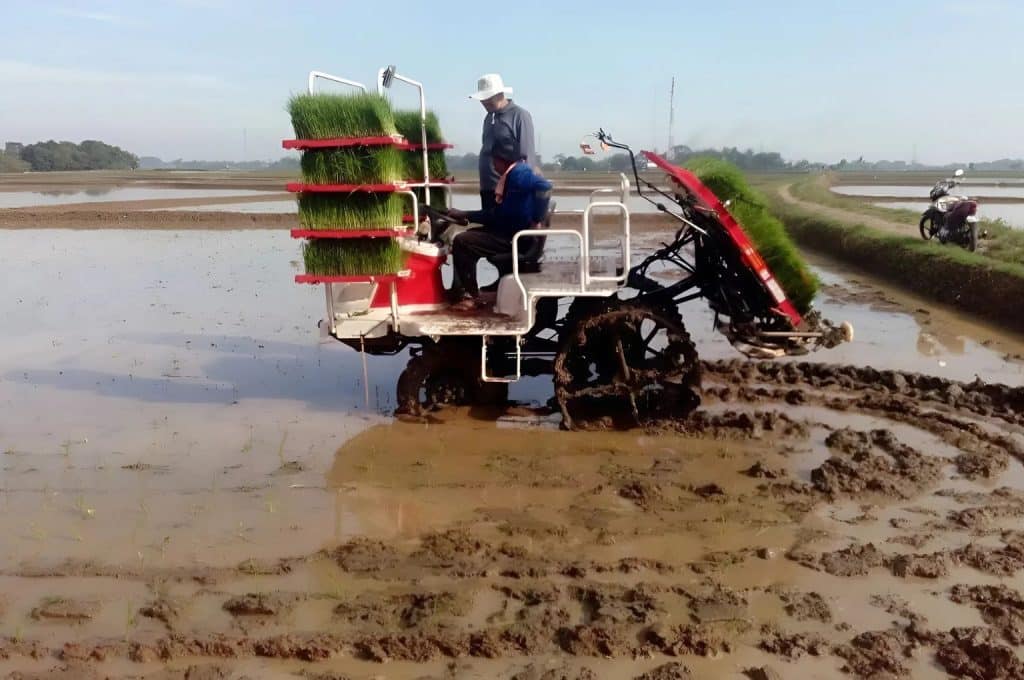 Yanmar rice transplanter