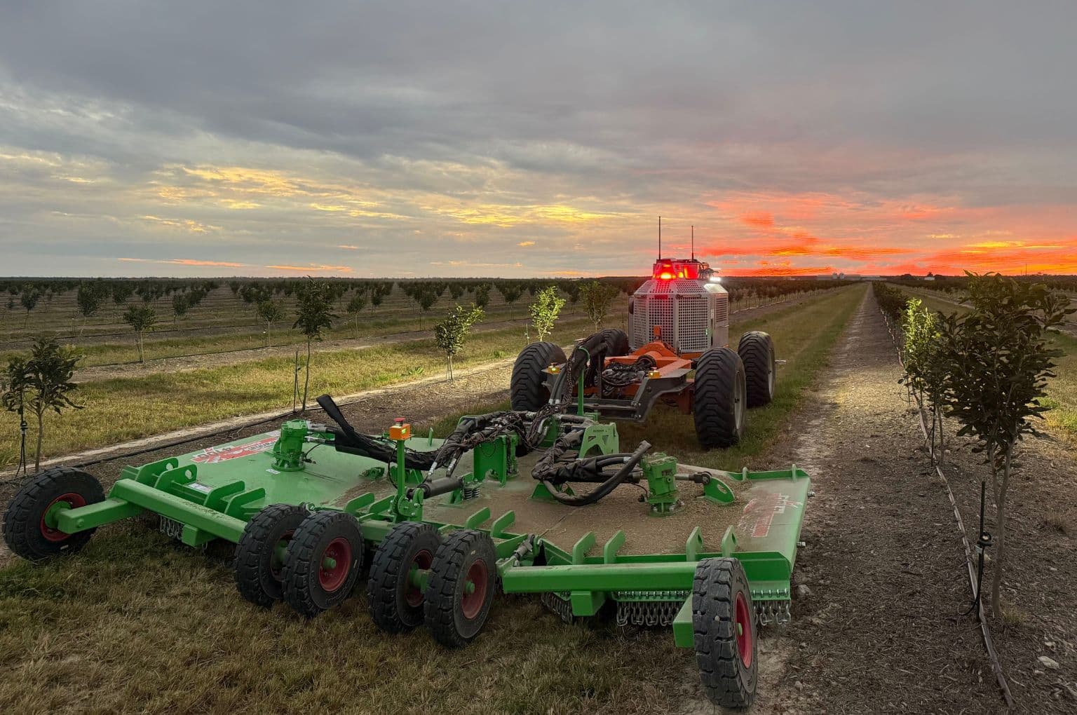 SwarmBot Rosella