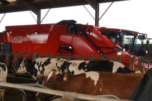 Kuhn Antea