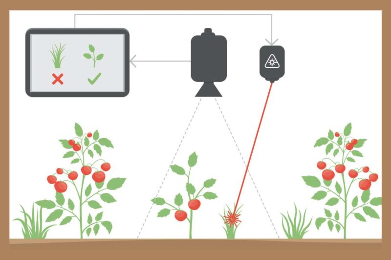 Escarda herbicide-free weed control