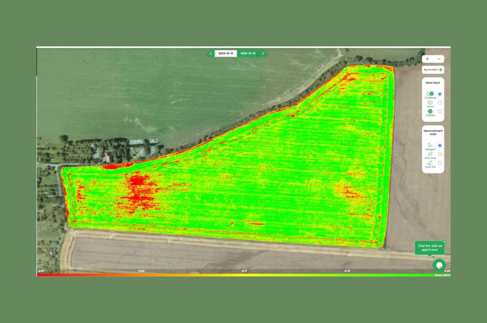 Drone image provides more details of the field compared to satellite image