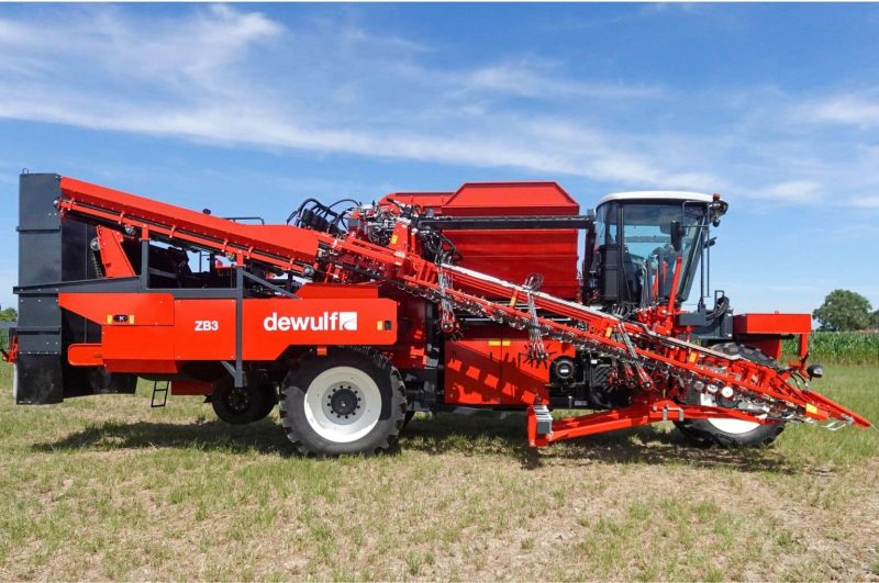 Dewulf ZB3 carrot harvester