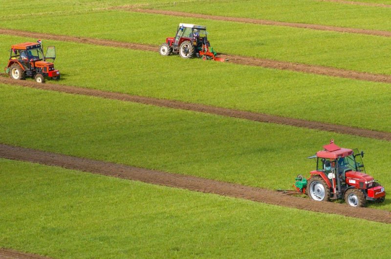World Ploughing Championship
