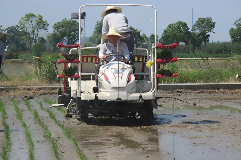 Research on low-carbon rice farming