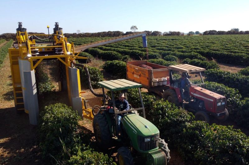 Oxbo 940+ coffee harvester