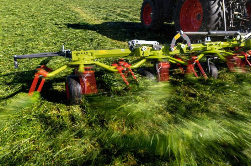 Claas Volto