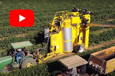 Oxbo 940+ coffee harvester