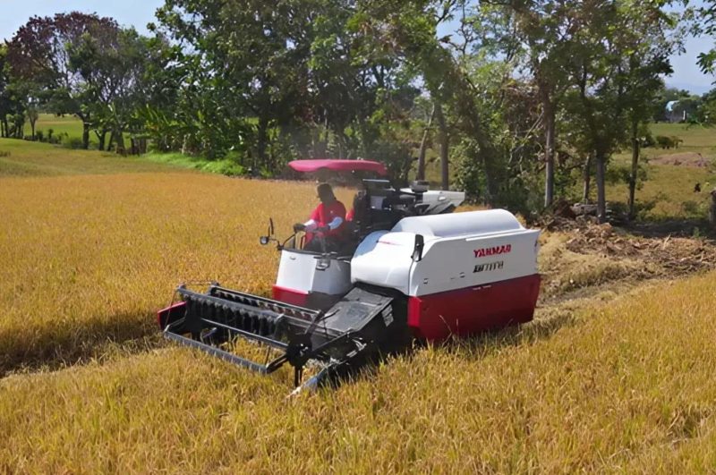 Research on low-carbon rice farming