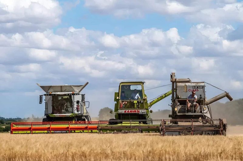 Claas Trion, Claas SENATOR, 1953 Claas SF