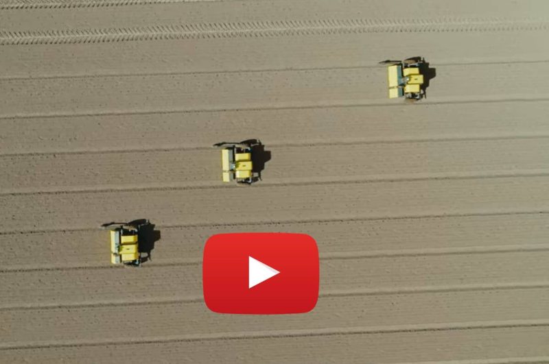 Kilter AX-1 autonomous weeding robot