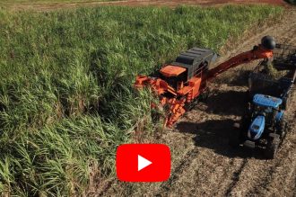 Watch Video