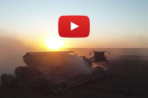 Watch NEXCO harvesting sorghum in Brazil